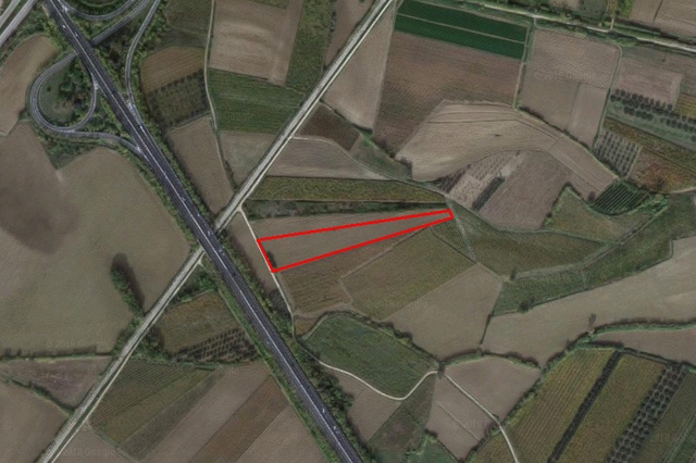 Agricoli in vendita