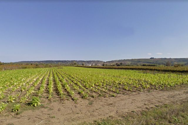 Agricoli in vendita