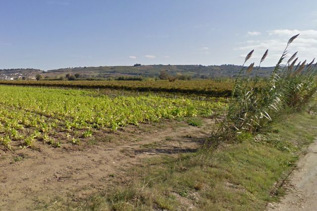 Agricoli in vendita