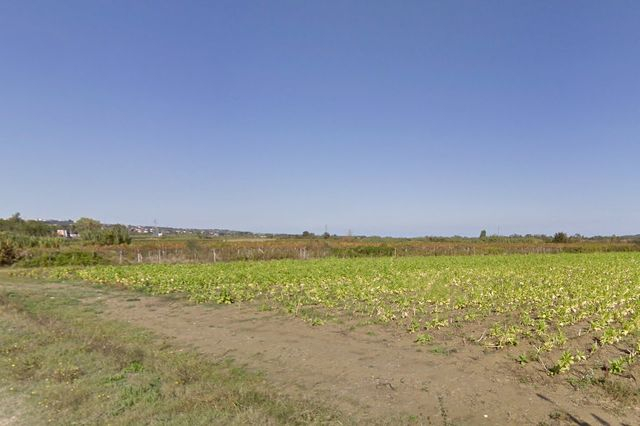 Agricoli in vendita
