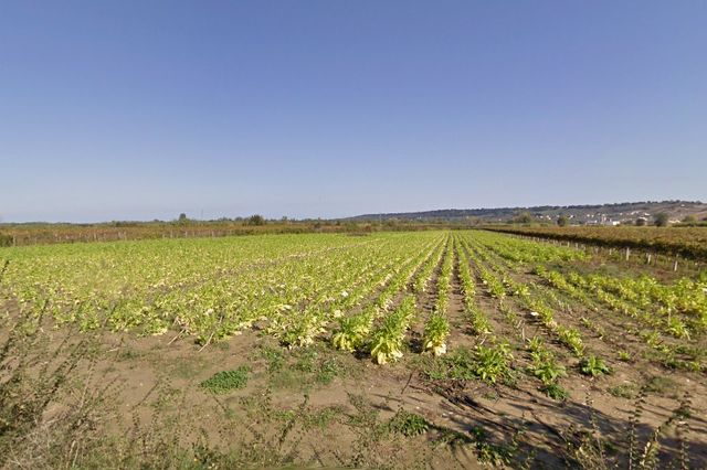 Agricoli in vendita