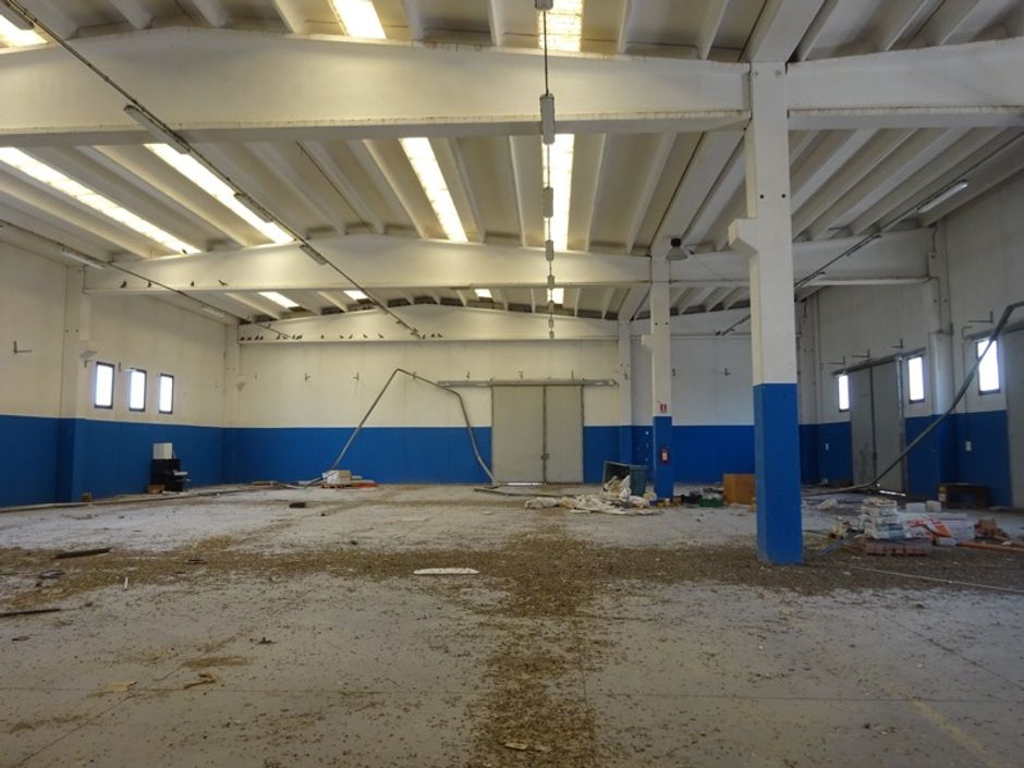 #4847 Capannone con palazzina uffici e corte in vendita - foto 3