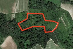 Agricultural plot in a hilly area - Lot 4948 (Auction 4948)