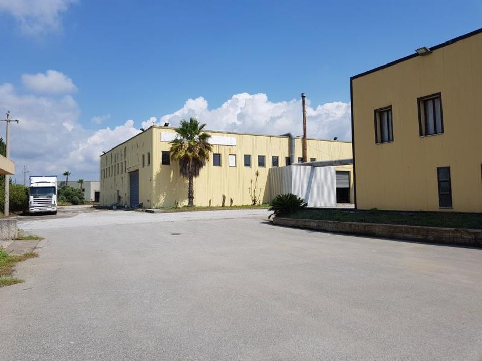 #5087 Capannone industriale con area uffici (Part. 309) in vendita - foto 2