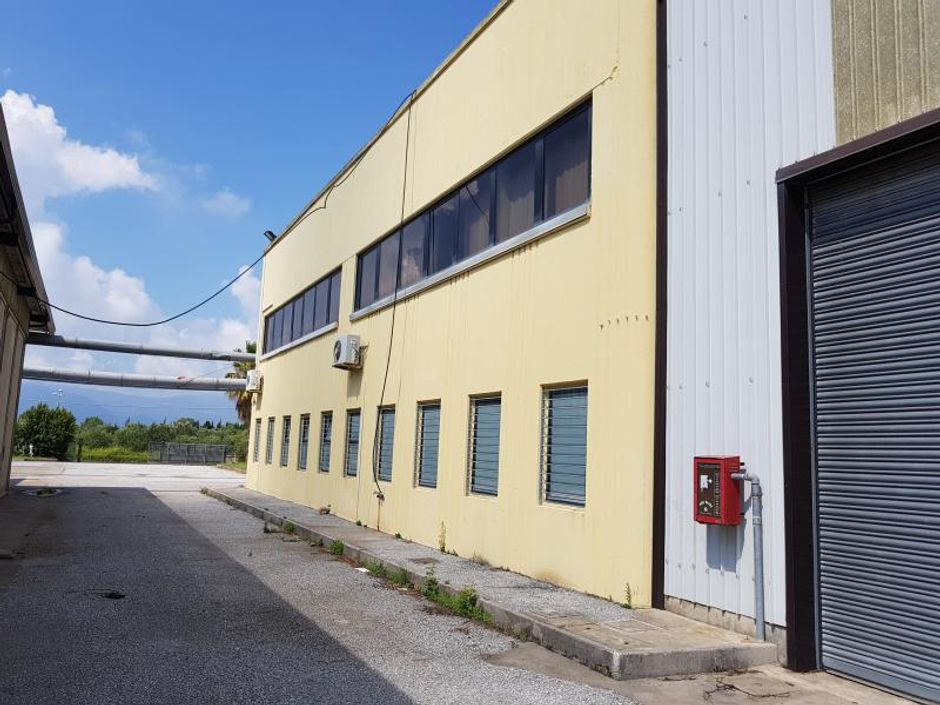 #5087 Capannone industriale con area uffici (Part. 309) in vendita - foto 3