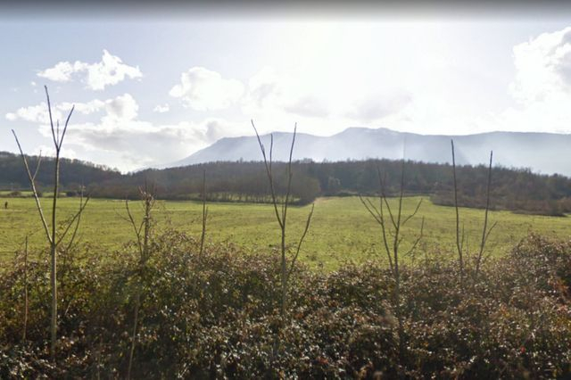 Agricoli in vendita