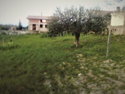 share of building with land - Lot 5404 (Auction 5404)