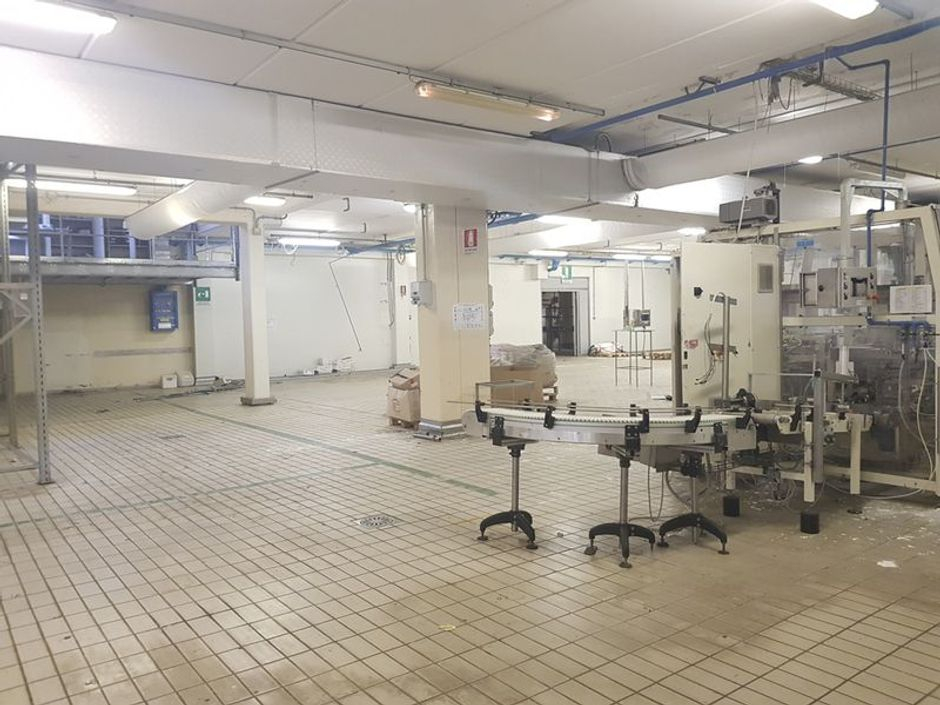 #5865 Complesso industriale in vendita - foto 2