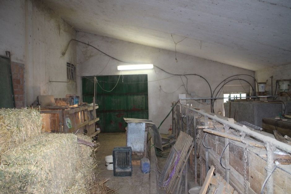 #598 Porzione di tre fabbricati rurali in vendita - foto 6