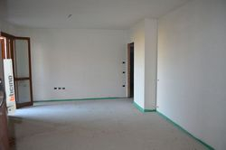 Apartment with cellar  sub     - Lot 6377 (Auction 6377)