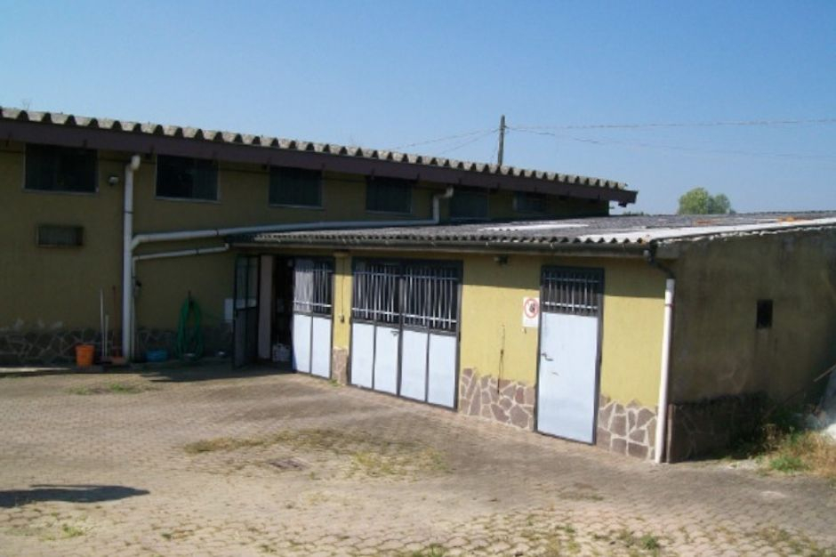 #6596 Due capannoni artigianali con uffici in vendita - foto 3