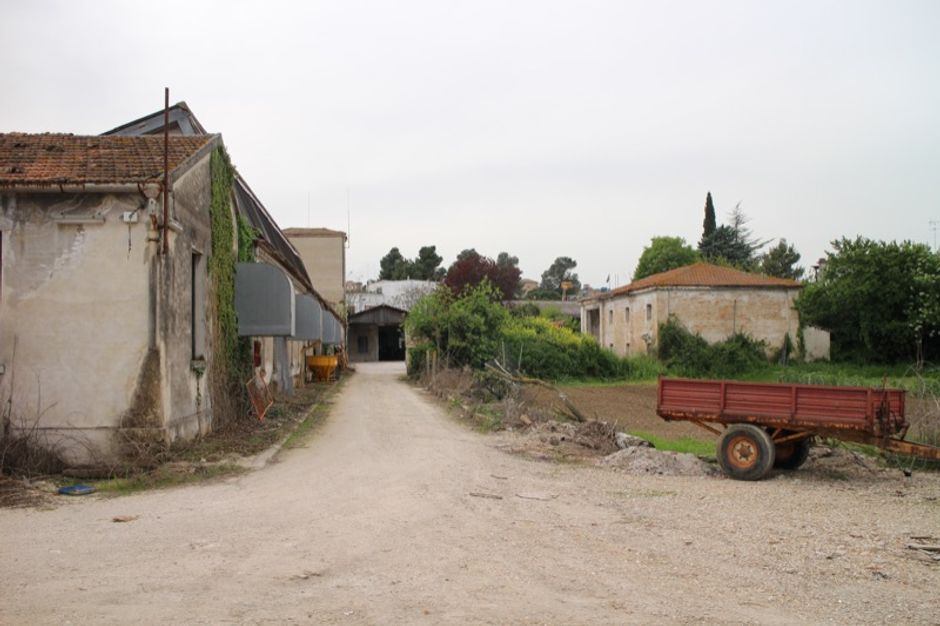 #669 Stabilimento industriale in vendita - foto 4