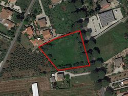 Ground - Lot 6830 (Auction 6830)