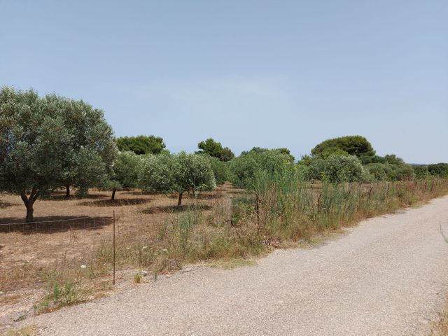 Edifici direzionali in vendita