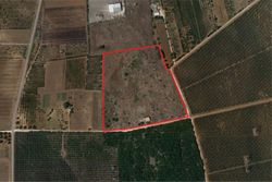 Agricultural land of , square meters with abandoned building - Lot 6876 (Auction 6876)