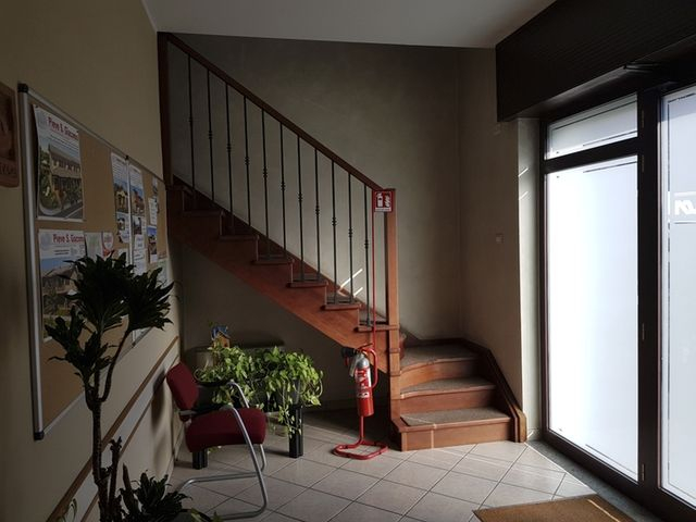 Grandi dimensioni in vendita
