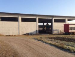 Two buildings for agricultural use with land - Lote 7122 (Subasta 7122)