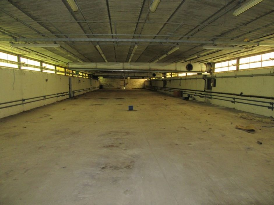 #723 Capannone industriale con abitazione e terreno edificabile in vendita - foto 4