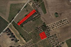 Agricultural land of sqm - Lote 7406 (Subasta 7406)