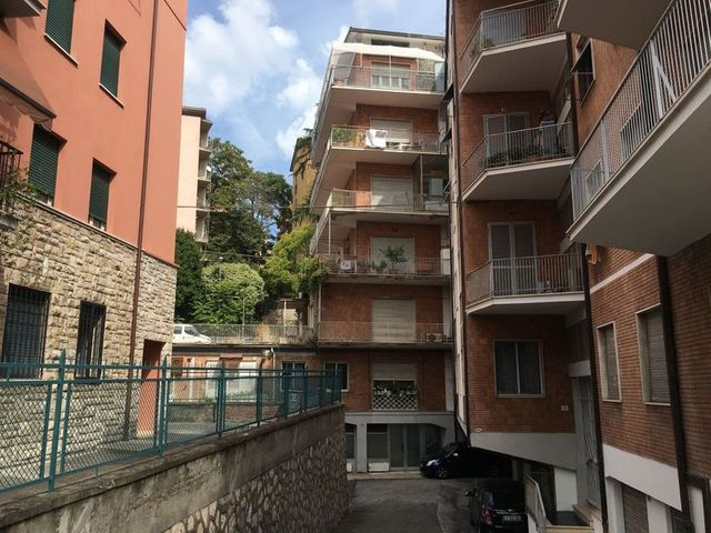Grandi dimensioni in vendita