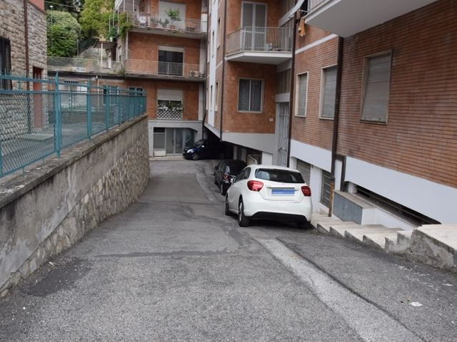 Grandi dimensioni in vendita
