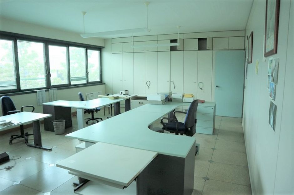 #7517 Capannone con uffici e terreno con potenzialità edificatoria in vendita - foto 7