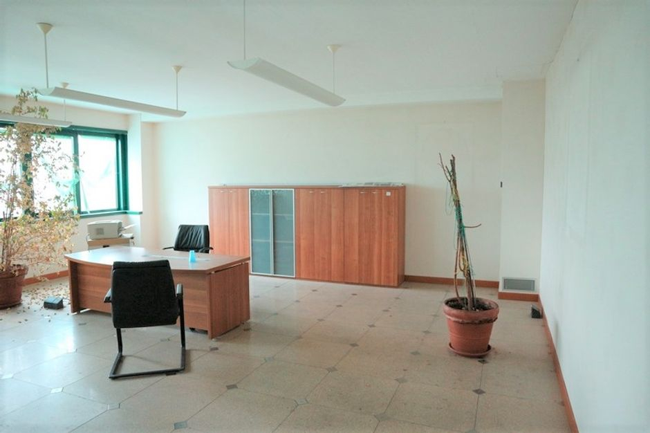 #7517 Capannone con uffici e terreno con potenzialità edificatoria in vendita - foto 8