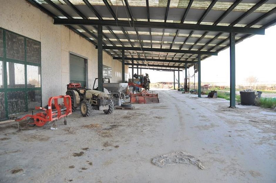 #7626 Complesso agricolo produttivo con terreno in vendita - foto 4