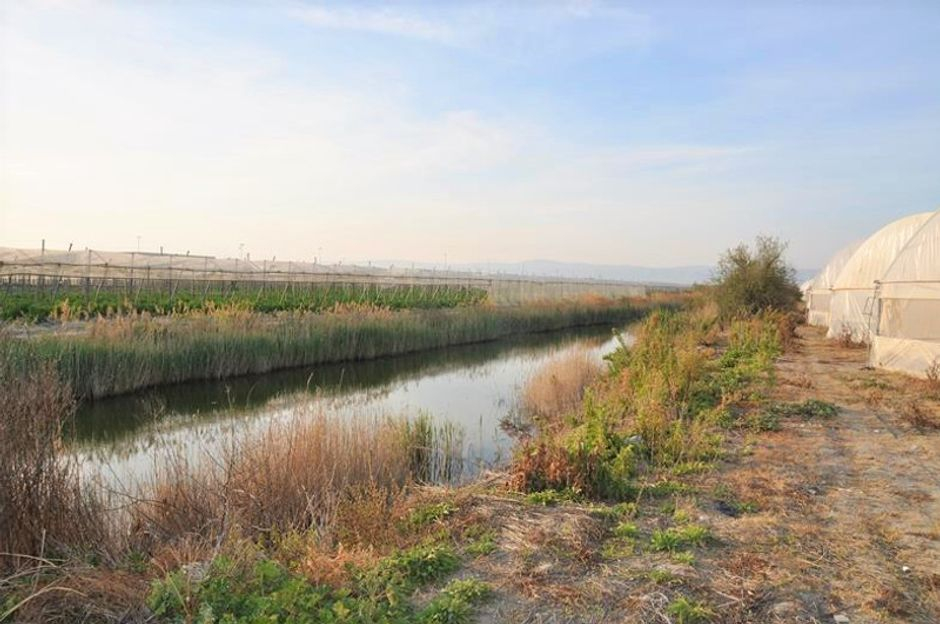 #7626 Complesso agricolo produttivo con terreno in vendita - foto 12
