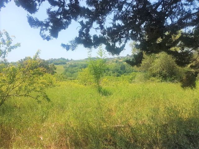Agricoli in vendita