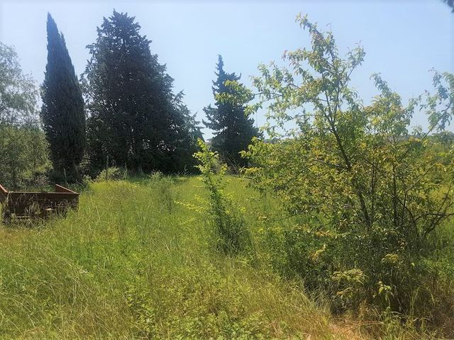Agricoli in vendita