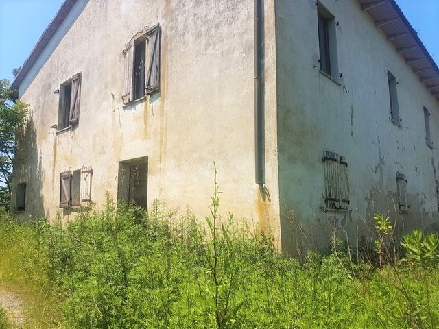 Agricoli in vendita