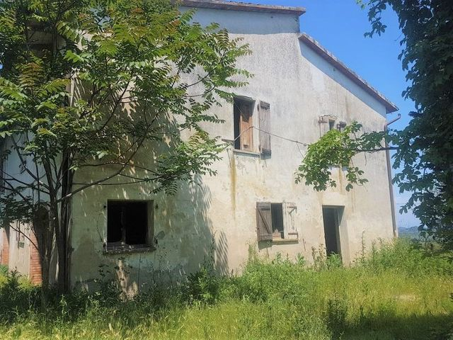 Agricoli in vendita