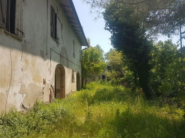 Agricoli in vendita