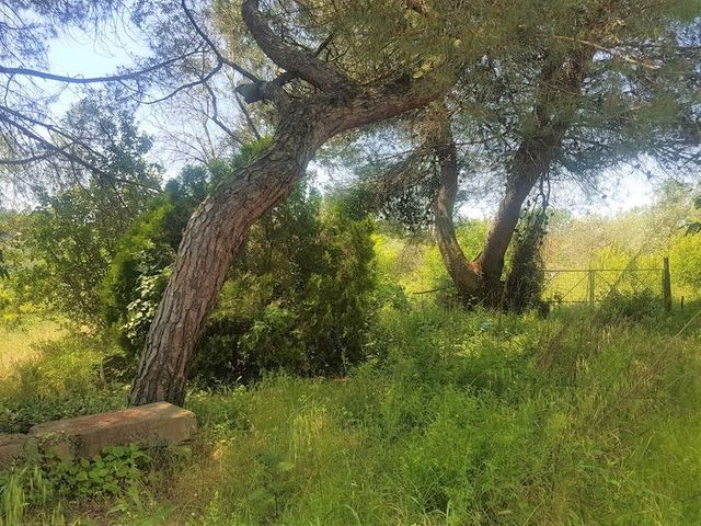 Agricoli in vendita