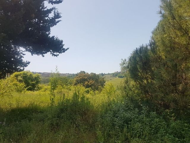 Agricoli in vendita