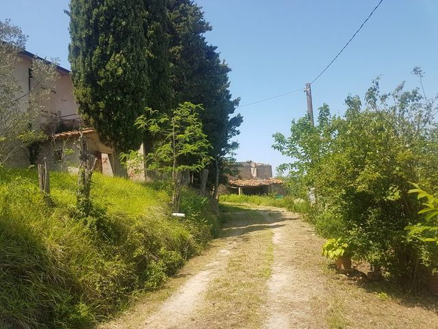 Agricoli in vendita