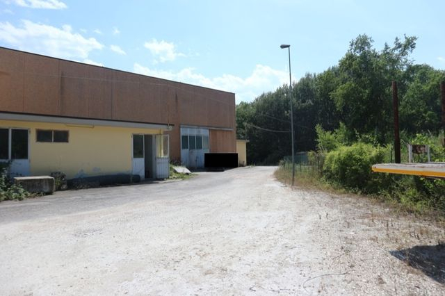 Con servizi in vendita