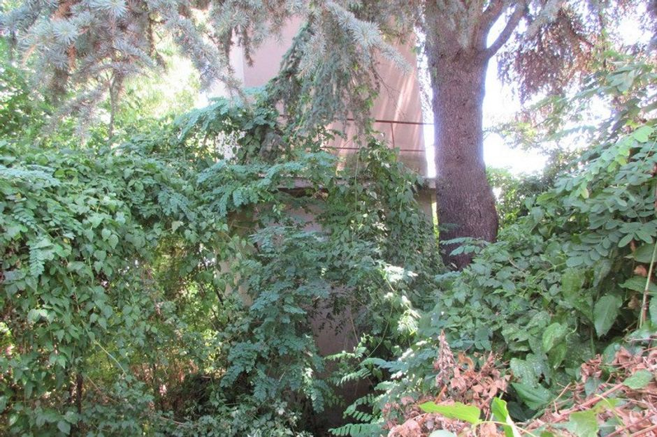 #7869 Piccoli magazzini e terreno per parco in vendita - foto 2