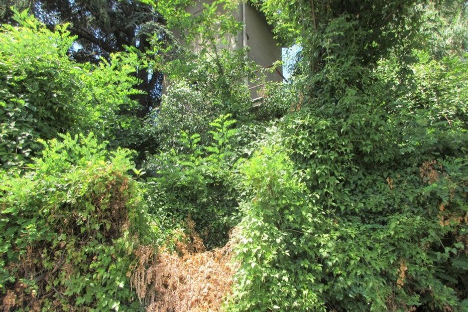 #7869 Piccoli magazzini e terreno per parco in vendita - foto 3