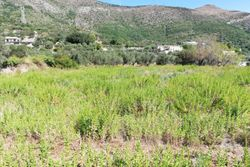 Agricultural land of . sqm - Lote 7883 (Subasta 7883)