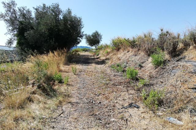 Agricoli in vendita