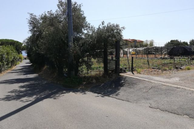 Agricoli in vendita
