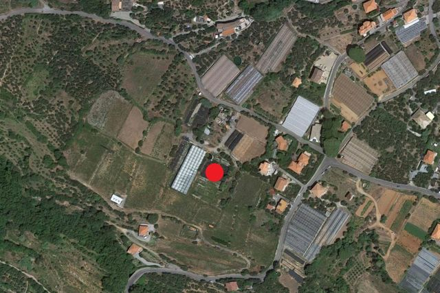Agricoli in vendita