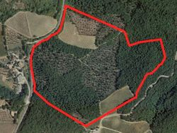 Agricultural land of . sqm - Lote 7942 (Subasta 7942)