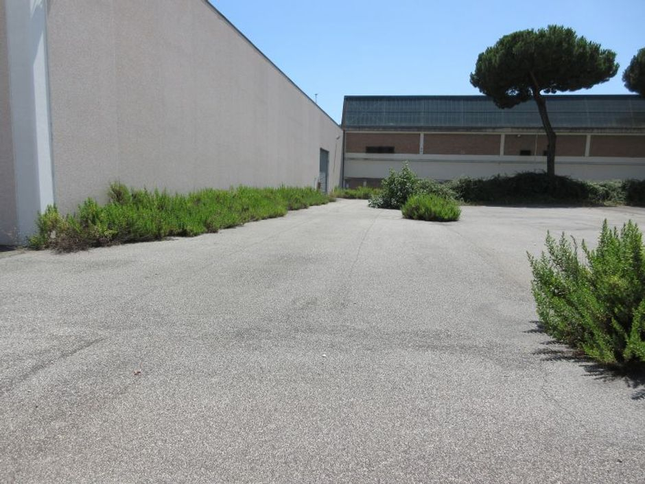 #8075 Complesso artigianale 'Edificio 3' in vendita - foto 5