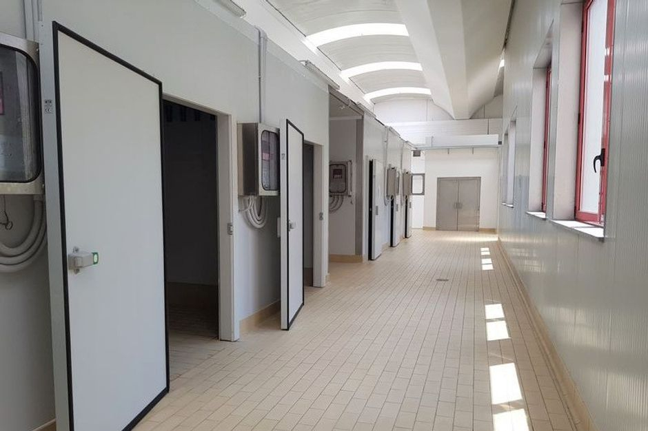 #8209 Opificio alimentare in zona produttiva in vendita - foto 5