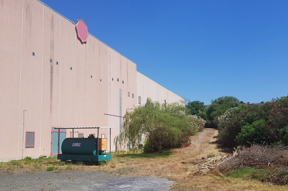 #8209 Opificio alimentare in zona produttiva in vendita - foto 8