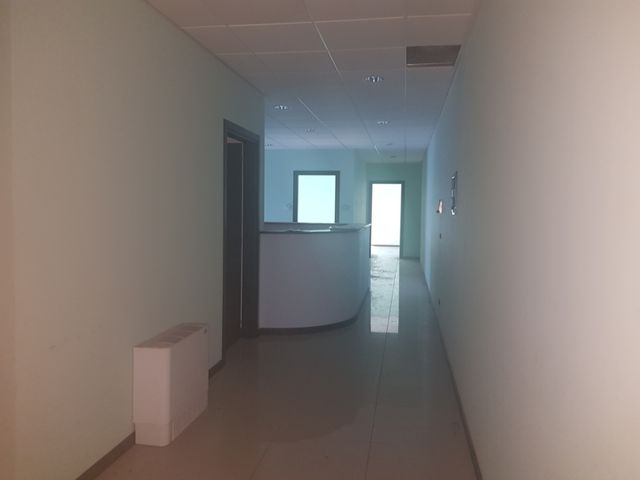 Grandi dimensioni in vendita