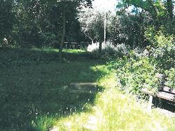 share of planted garden - Lot 879 (Auction 879)